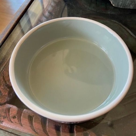 RAE DUNN “SIP” Small Pet Dog Cat Water Bowl - Artisan Collection - Picture 2 of 3